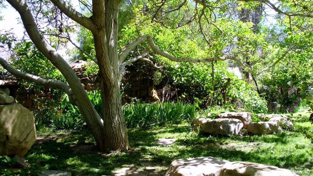 La Casa Del Indio Otel Tilcara Dış mekan fotoğraf